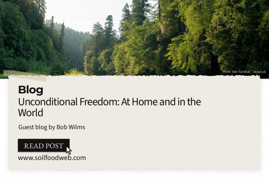 Unconditional Freedom: At Home and in the World
