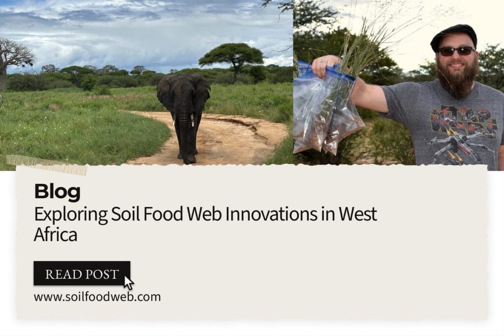 Exploring Soil Food Web Innovations in West Africa
