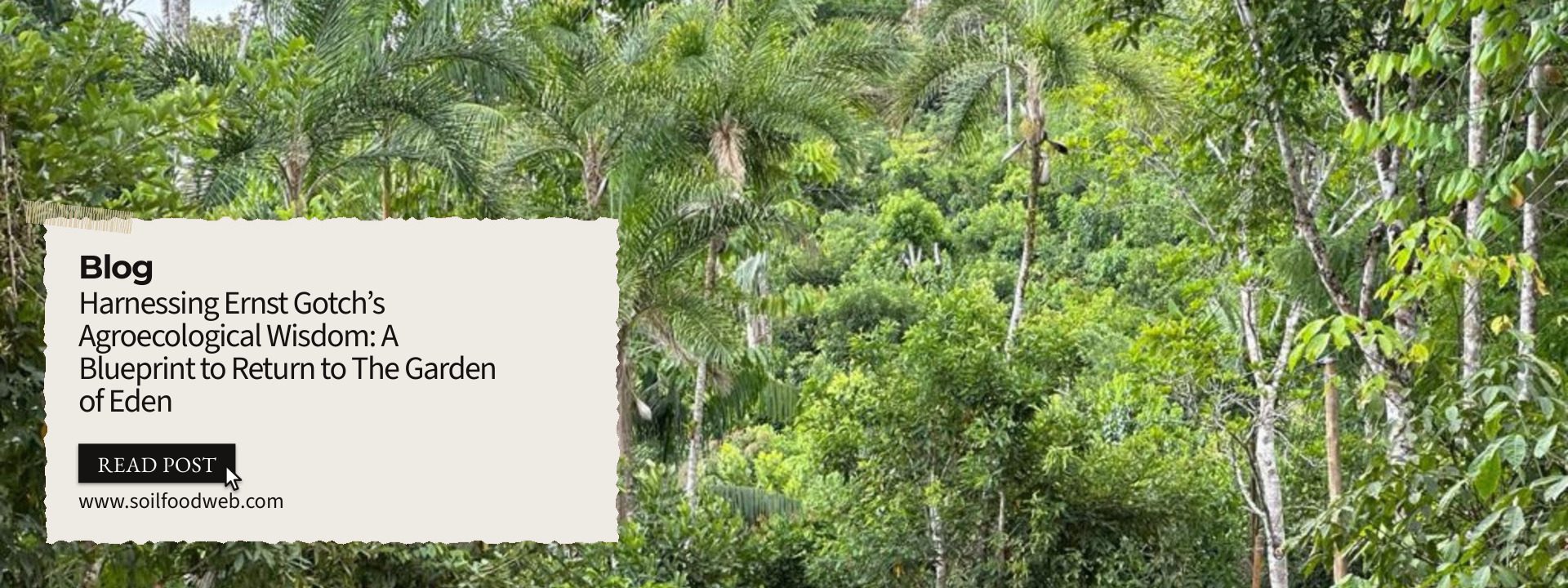 Harnessing Ernst Gotch’s Agroecological Wisdom: A Blueprint to Return to The Garden of Eden