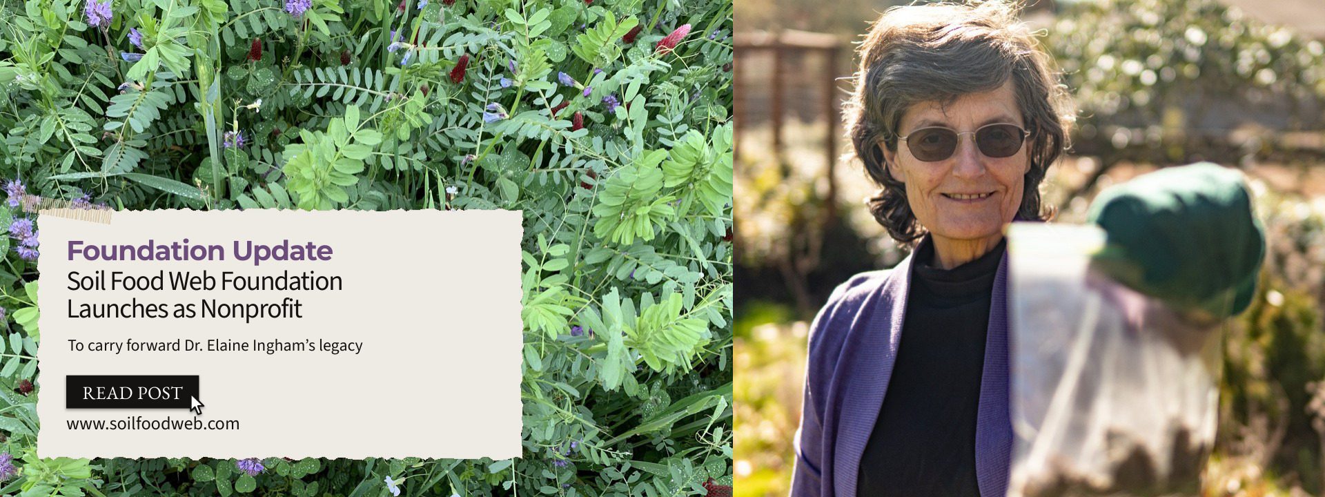 Soil Food Web Foundation Launches as Nonprofit to Carry Forward Dr. Elaine Ingham’s Legacy
