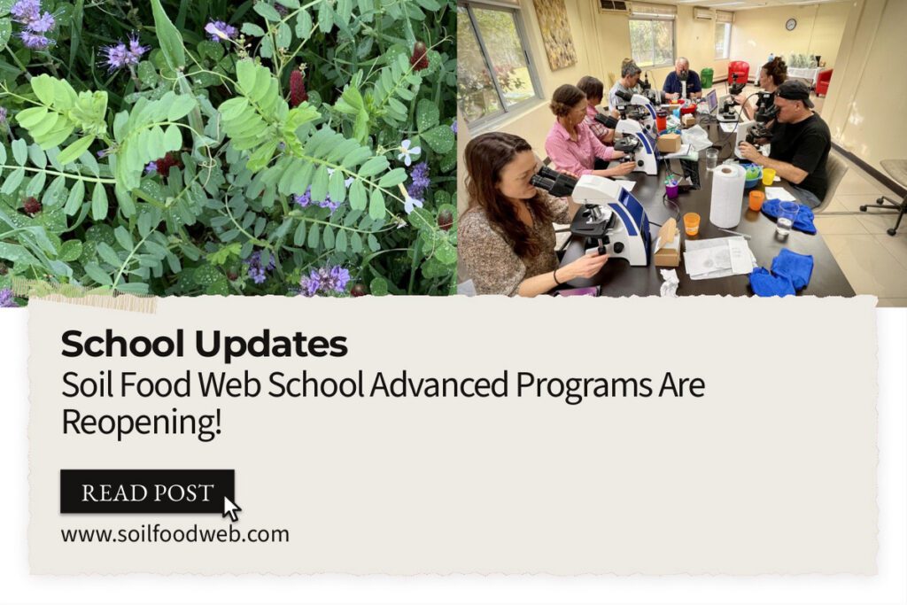Soil Food Web School Advanced Programs Are Reopening!