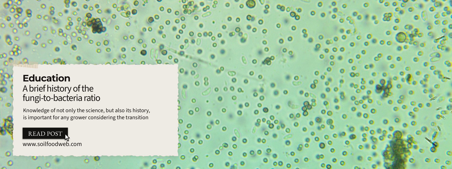 A brief history of the fungi-to-bacteria ratio