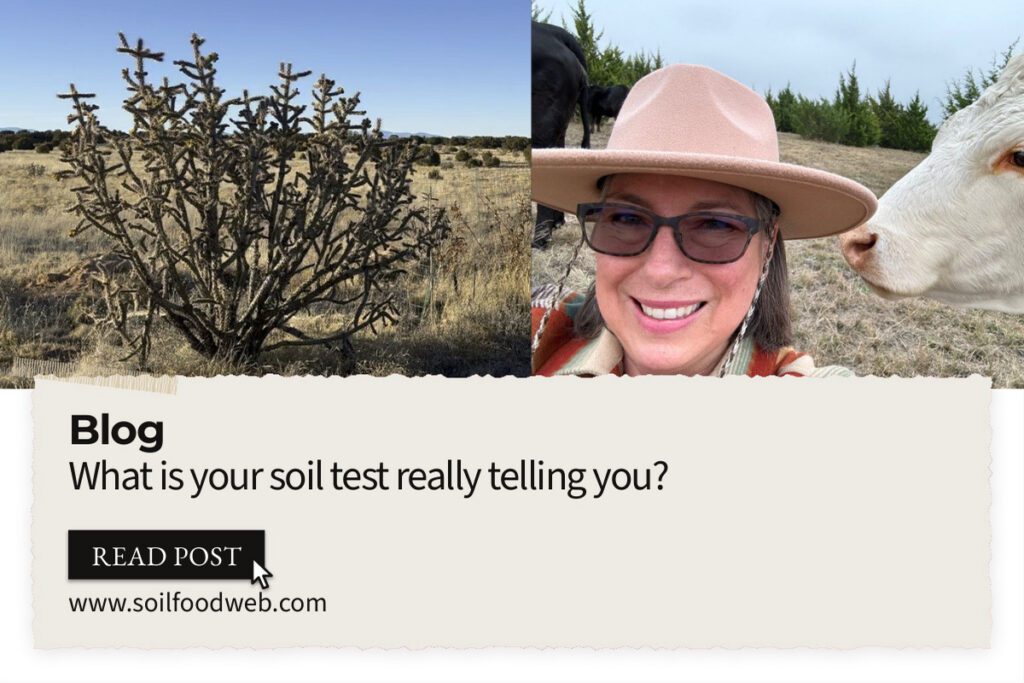 Learning to See: What Is Your Soil Test Really Telling You?