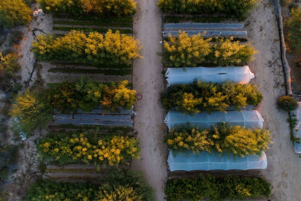 Permaculture Design Certification