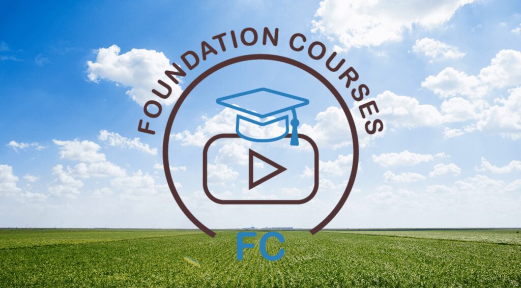 Foundation Courses