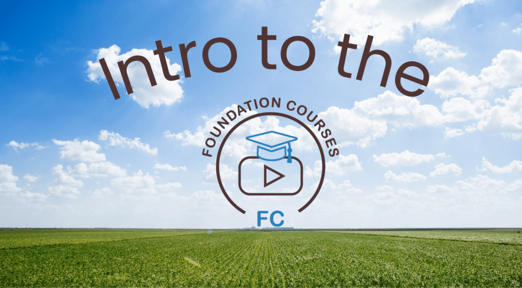Intro to the Foundation Courses